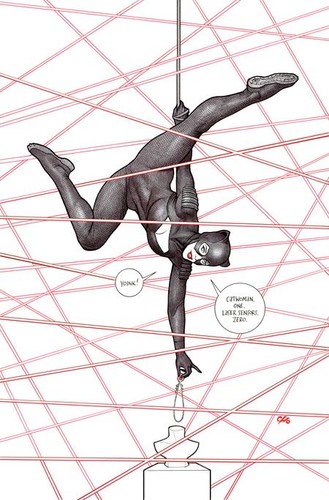 Catwoman variant cvr - #88,