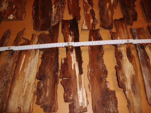 Baumrinde 1800g große - 1800g,,