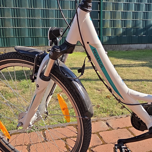 Pegasus avanti trekkingrad - avanti,