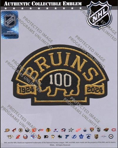 2023 2024 nhl boston bruins - 2024,