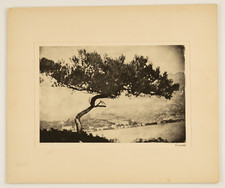 Henri Fourcade, Kinn