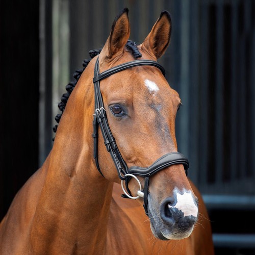Shires lusso ergonomische - shires,