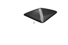 Carbon Frontverkleidung Cover