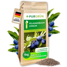 Purgrün Bio Pflaumenbaum