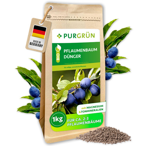 Purgrün bio pflaumenbaum - bio,
