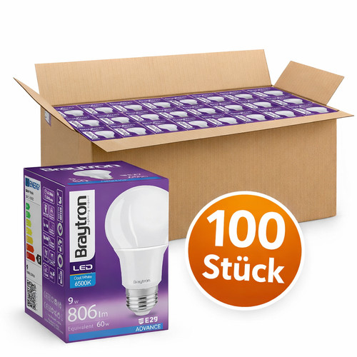 100 led glühbirne - 100, x