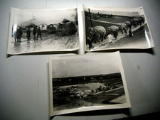 3 Fotos  30er Jahre Zirkus Krone 18 cm x 13 cm Fahrzeuge, Zirkuszelt,Elefanten