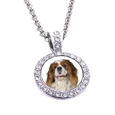 King Charles Spaniel