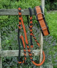 Hundehalsband mit Polsterung