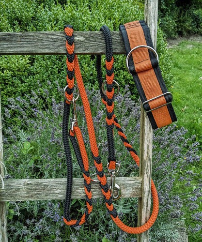 Hundehalsband mit polsterung - hundehalsband,
