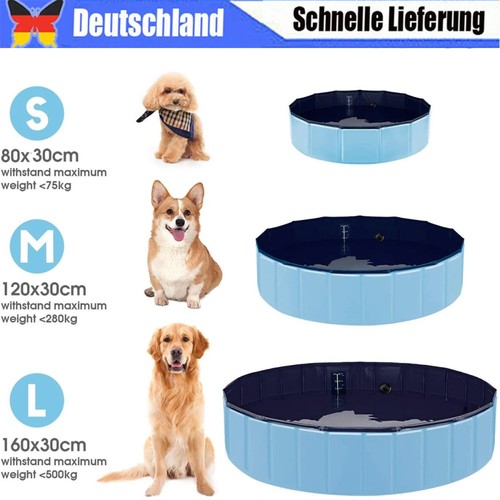 Hunde hundepool swimmingpool - hunde,