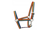 Mustang Halfter Pferdehalfter Horse Nylonhalfter viele Größe Regenbogenfarben