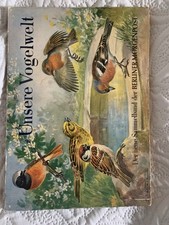 Unsere Vogelwelt. Der neue Sammelband der BERLINER MORGENPOST