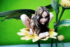 Dragonsite 2005 Sheila Wolk "Chamäleon" Limited Edition 4293/4800 Figur SW41020