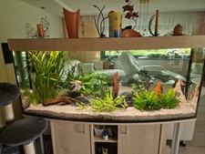 Juwel Rio 350 mit Unterschrank