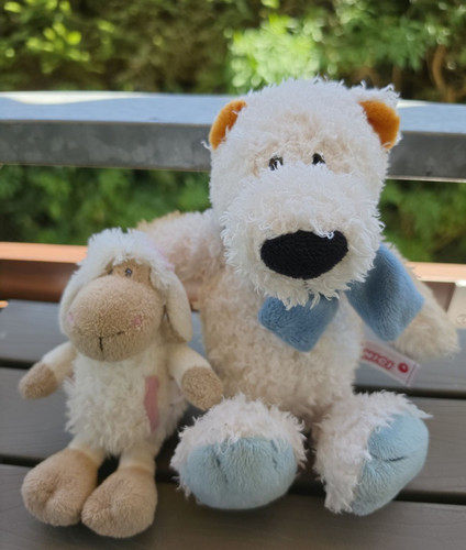 Nici eisbär schaf 19 - eisbär,