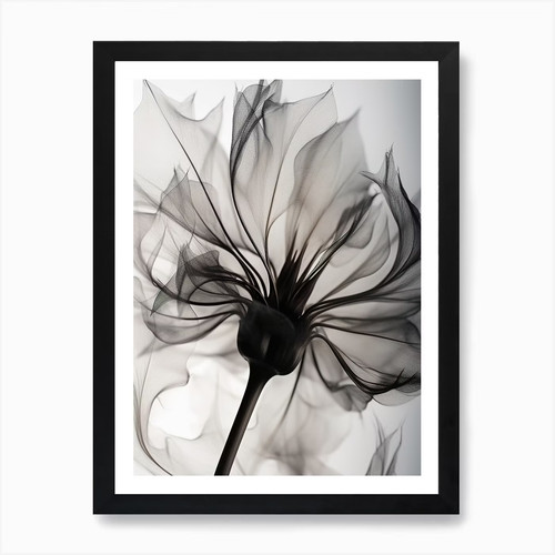 Xray herbarium künstlerische - herbarium,