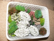 H39  Für Märklin Miniclub Busch Heki  o.a. Konvolut ca 25 Bäume mit Blüten Sp Z