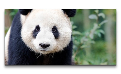 120x60cm leinwandbild kleiner - leinwandbild,