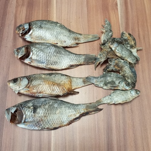 500 karausche trockenfisch - karausche,