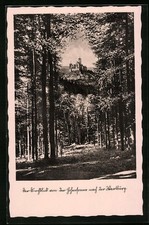 Ansichtskarte Durchblick von der Hohensonne zur Wartburg 