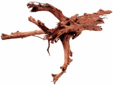 Hobby Mangrovenholz XXL - ca