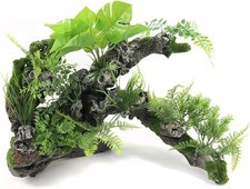 aquatlantis Wurzel Stamm mit