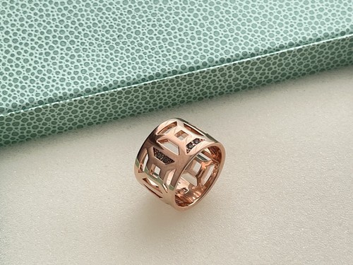 Pierre lang ring - ring, *