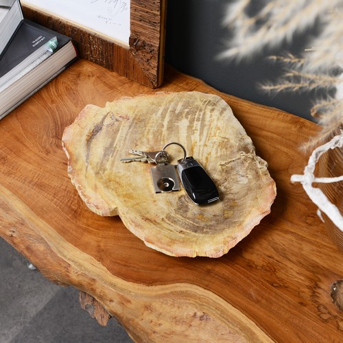 Tablett aus fossilem holz - fossilem,