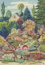 Waldwiese und haus gl1918 - waldwiese,