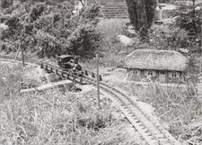 Foto, DDR, Eisenbahn Dampflok