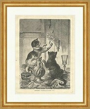 Spielende Katzen Specht Tiere