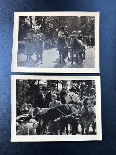 Set fotos kinder - 🐴, 2
