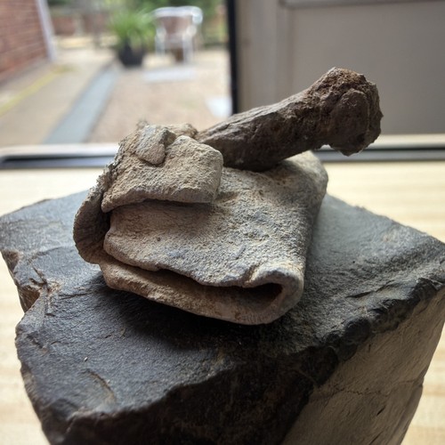 Roman ritually killed iron - ritually,