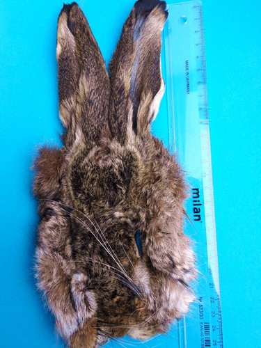 Hasenmaske hare mask - hasenmaske,