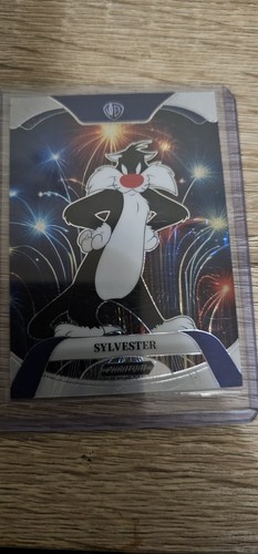 Sylvester 2024 phantom - -,