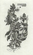 WOJCIECH JAKUBOWSKI: Exlibris