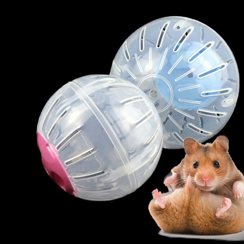 Hamster running ball - running,