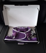 Geschirr mit Reflective Band