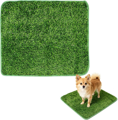 Hundetoilette wohnung - hundetoilette,