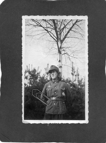 Mp16 foto junge frau in - foto,