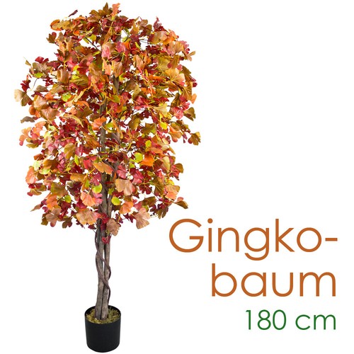 Ginkgo ginkgobaum kunstbaum - ginkgo,
