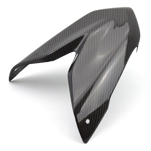 Carbon sozius sitzabdeckung - carbon,