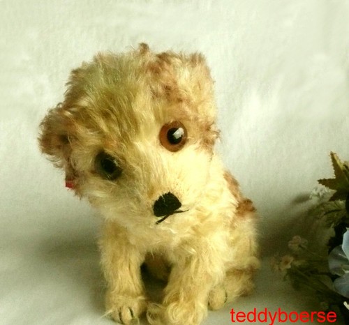 Alter original steiff hund - alter,