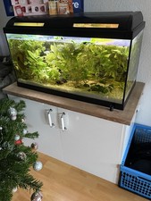 Aquarium Komplett mit