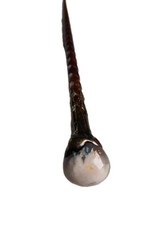 1  Zauberstab Holz ca 24cm mit Augenachat - Halbedelstein