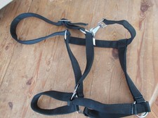 Halfter classic schwarz Gr. XL