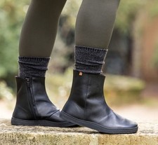 El Naturalista N5918 Origen