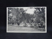 Alte AK Ostseebad Ahrenshoop