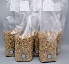 Steril autoklaviertes Bio